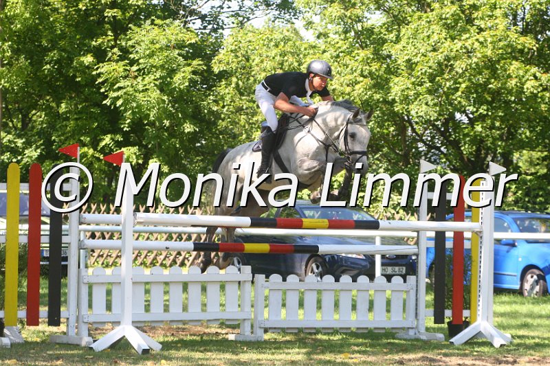 308M2253_Tammy Cloud_Spring Mxx.JPG